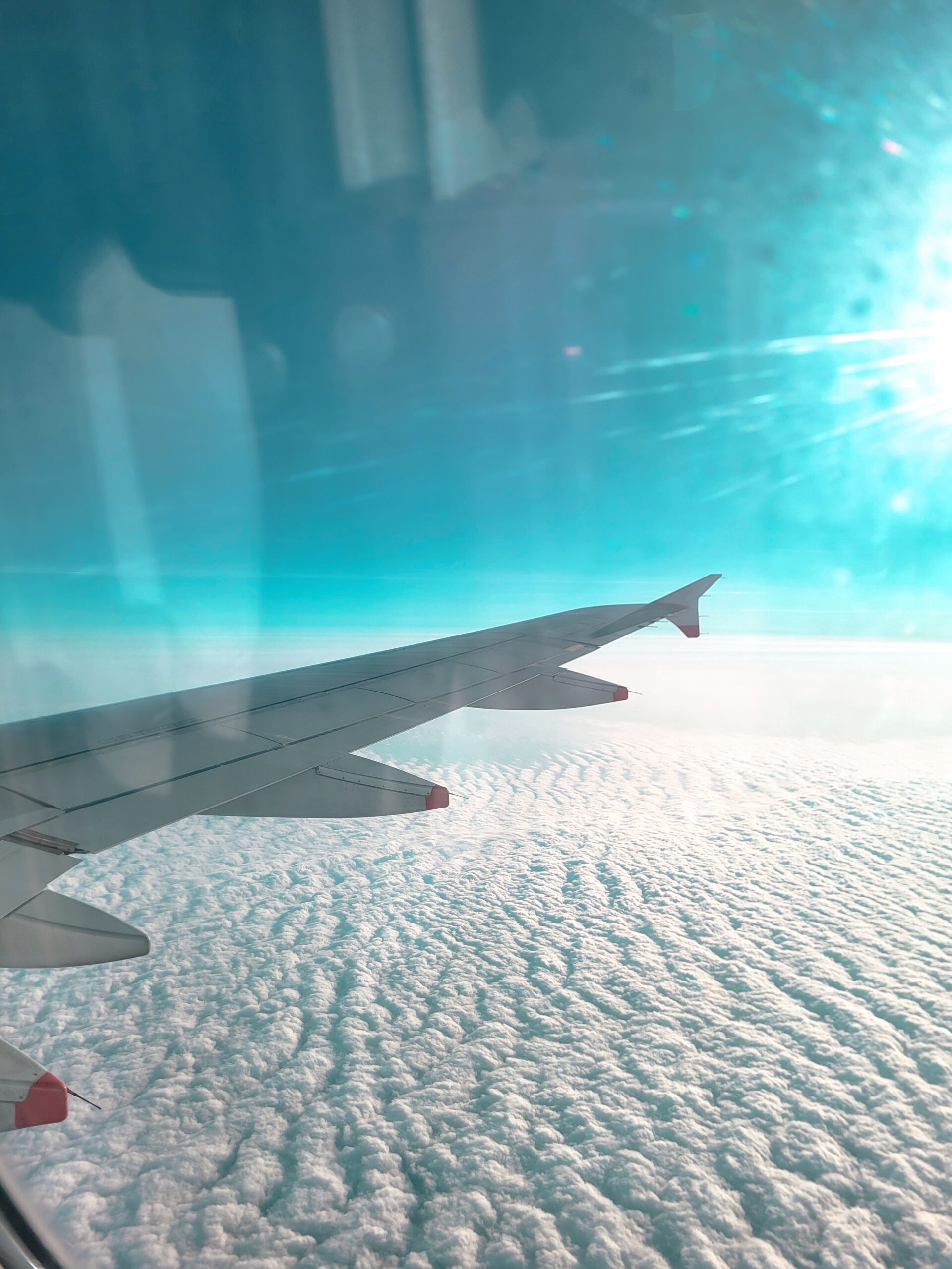 A sleek airplane soars gracefully above a blanket of fluffy white clouds, capturing the freedom and excitement of travel and new adventures waiting beyond the horizon.
